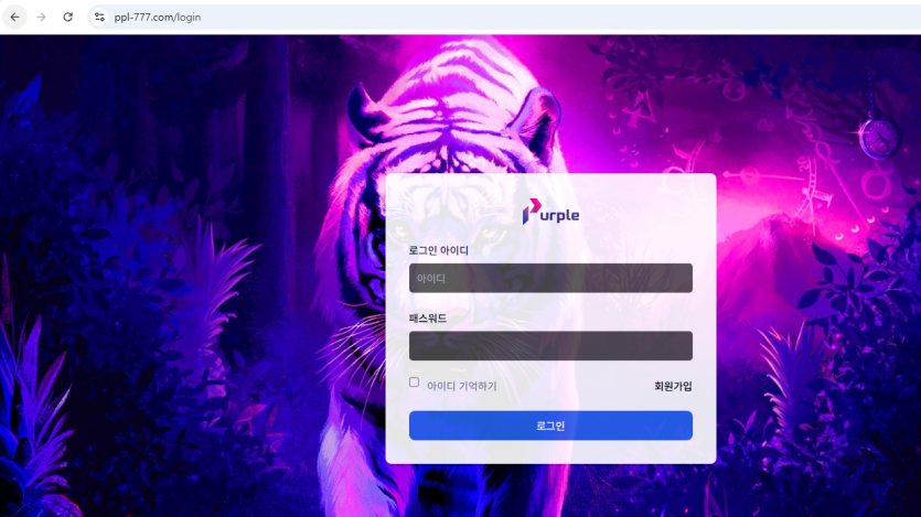 퍼플