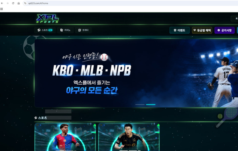 엑스플