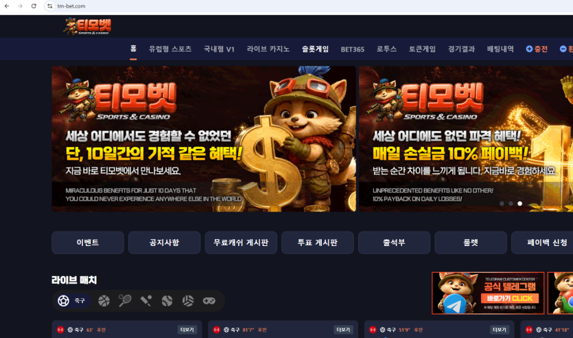 (구)애국벳 , (현)티모벳