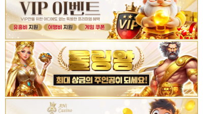 애니카지노