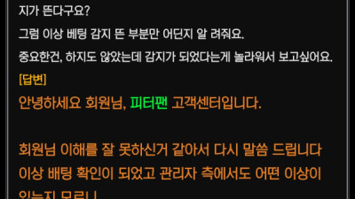 피터팬