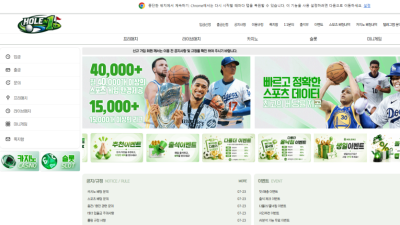 홀인